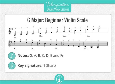 Violin Scales: The 5 Most Commonly Used Violin Scales - Violinspiration