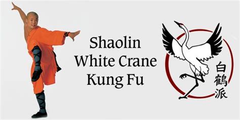 Shaolin White Crane Kung Fu | USAdojo.com