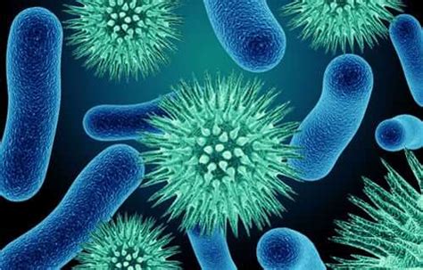 What Are Pathogens? The History Of Pathogens | Immerse Education