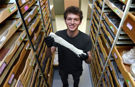 Yale student finds new dinosaur species in Peabody fossils