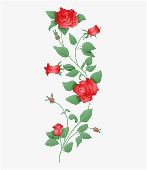 Rosevine2-1 Photo By Winterberry2 - Rose Vine Border Transparent PNG - 344x870 - Free Download ...