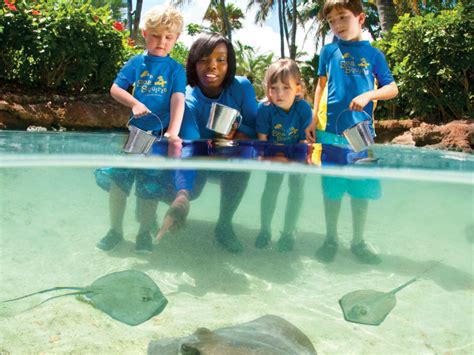 Best Kid-Friendly Activities at Atlantis