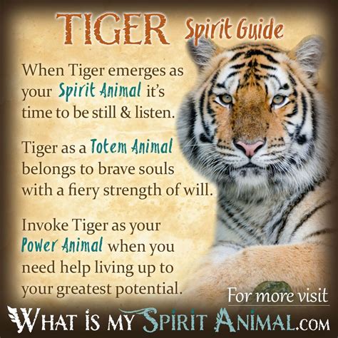 Mammal Symbolism & Meaning | Spirit, Totem, & Power Animal | Tiger ...