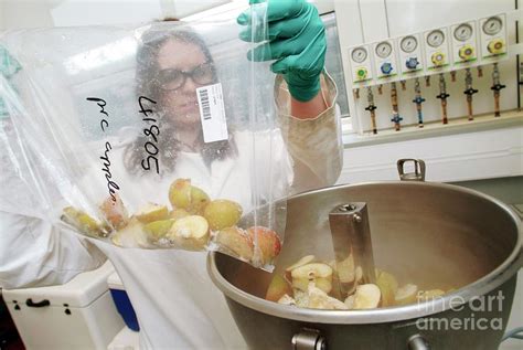 Pesticide Residue Analysis Photograph by Uk Crown Copyright Courtesy Of Fera/science Photo ...