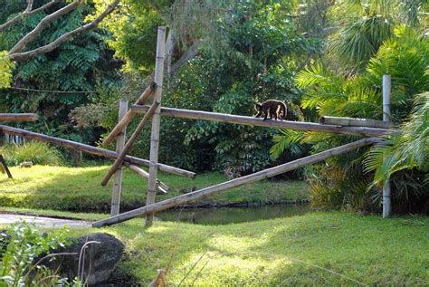 West Palm Beach Zoo | Bob B. Brown | Flickr