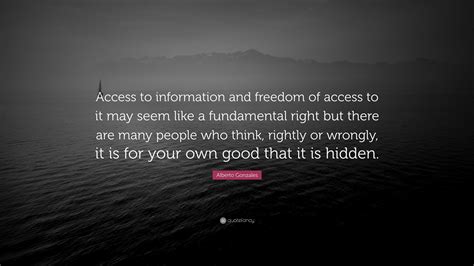 Alberto Gonzales Quote: “Access to information and freedom of access to it may seem like a ...