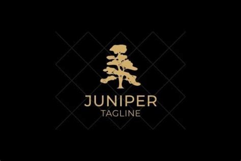 Tree Logo Juniper Graphic by businesslogo · Creative Fabrica