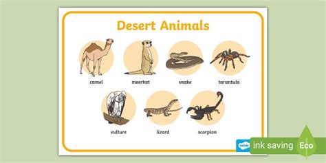 Desert Animals Word Mat (teacher made) - Twinkl