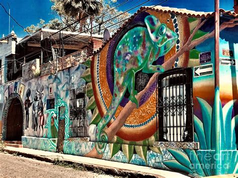 Ajijic, Mexico Mural Photograph by Kenneth B Foster - Fine Art America