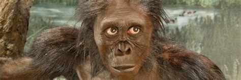 Cosmic Queries: Primate Evolution : StarTalk Radio Show by Neil ...