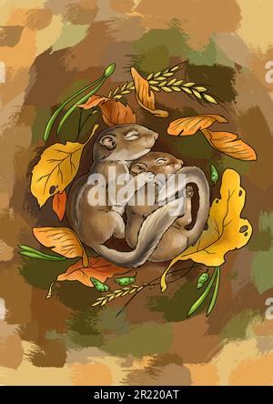 Illustration of sleeping chipmunks. Two baby chipmunks sleep in a pile ...