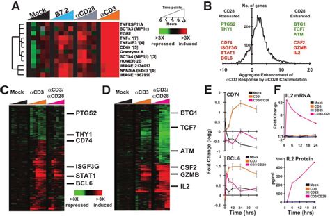 Gene expression responses to CD28 ligands. ( A ) Genes with detectable... | Download Scientific ...