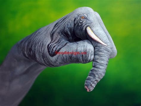 10 Hand Animals Wallpapers Illustration