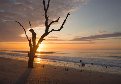 Botany Bay Sunrise Photograph by Nian Chen | Fine Art America