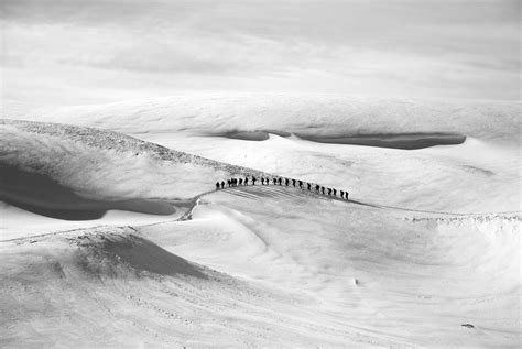 Free Images : sand, mountain, snow, winter, hiking, white, wave, adventure, wind, ice, glacier ...