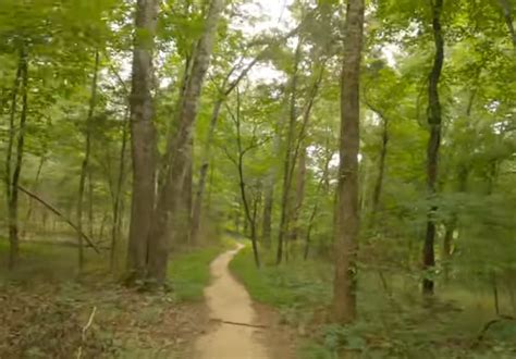 Hobby Park Mountain Bike Trail Near Winston Salem, North Carolina ...