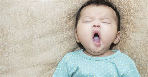 6 Things You Probably Don't Know About Yawning | HuffPost Life