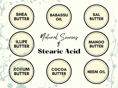 Stearic Acid In Natural Skincare: Its Function, Sources And Benefits – SkinCrest