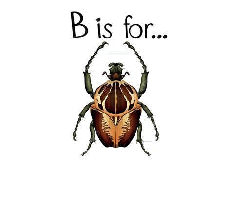 Flashcard Letter B Is For Beetle Elementary Education Clip Art Vector, Elementary, Education ...