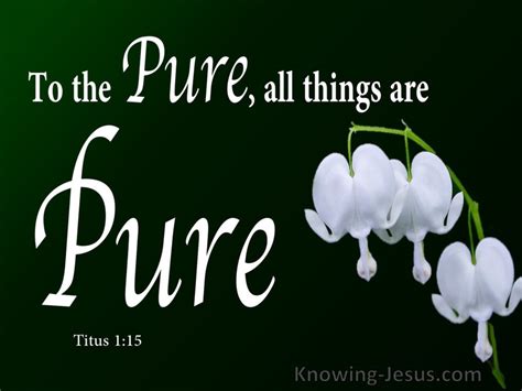 Titus 1:15 To Pure All Things Are Pure (white)