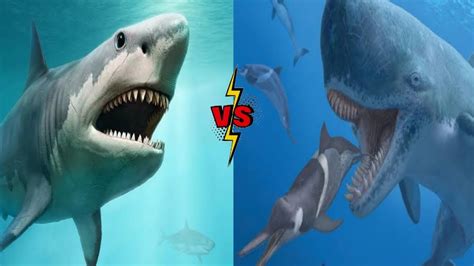 MEGALODON VS LIVYATAN - YouTube