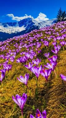 Spring Pictures, Wallpapers And Screensavers For Your - Tatra Mountains ...