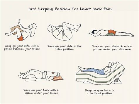 The Best Sleeping Position For Your Back Pain Spine-health | atelier-yuwa.ciao.jp