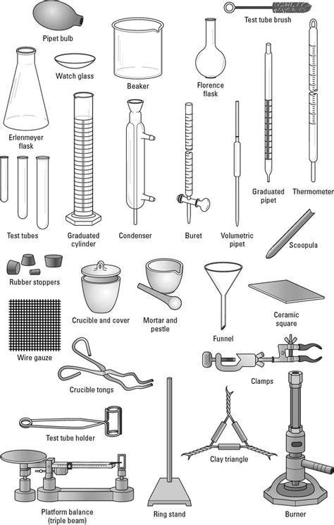 Diagram of common lab equipment, such as an Erlenmeyer flask, beaker ...