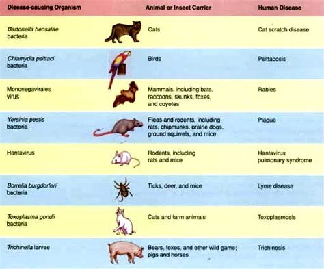 Diseases: List Of Diseases