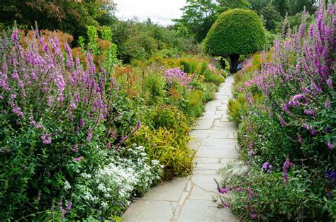 How To Create A Stunning Herbaceous Border | Horticulture