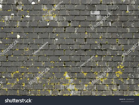 Slate Roofing Texture Tiles Slate Tile Stock Photo 1264089367 | Shutterstock