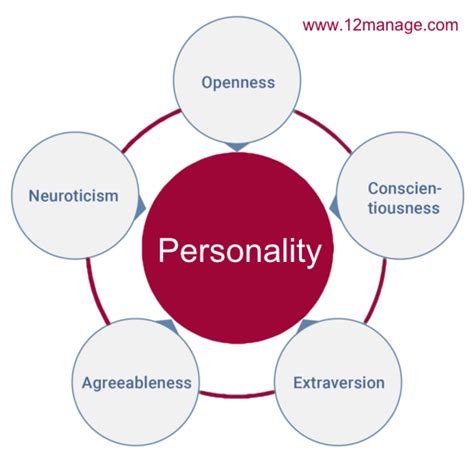 The Big Five Personality Traits (OCEAN) Model | Big five personality traits, Personality traits ...