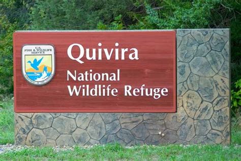 Quivira National Wildlife Refuge - BirdForum Opus | BirdForum