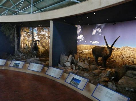 Top Museums in Crete – Greek Air Taxi Network