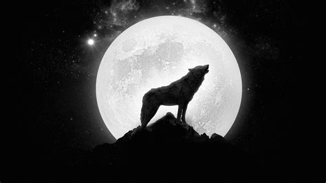 wolf, Howling, , Full, Moon Wallpapers HD / Desktop and Mobile Backgrounds