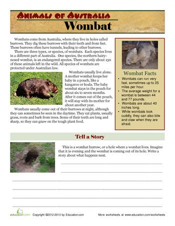 Wombat Facts | Worksheets, Australian animals and School