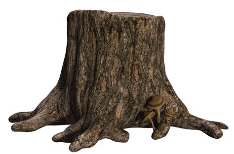 Tree Stump by SuicideOmen on DeviantArt