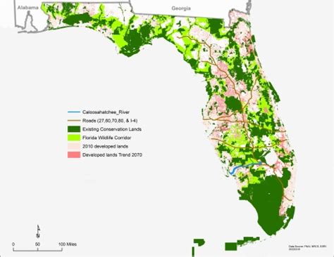 The Florida Panther | U.S. Fish & Wildlife Service