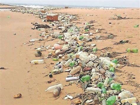 Beach litter unattended despite complaint | South Coast Sun