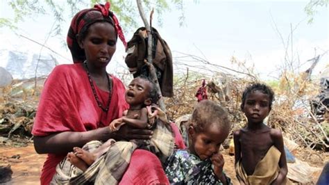 Somalia famine zones reduced by half | CBC News