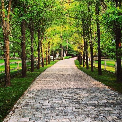 Allee of trees Driveway Entrance Landscaping, Driveway Design, Front Yard Design, Stone Driveway ...