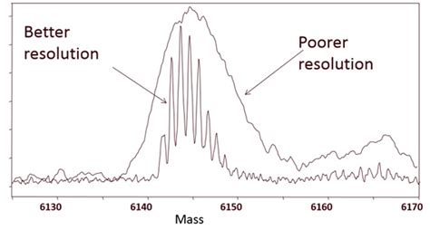 What is a mass in a mass spectrometer