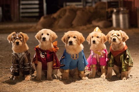 Super Buddies | Dog Movies on Netflix You Can Watch Right Now ...