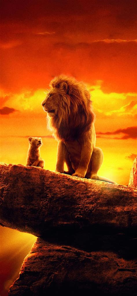 the lion king 2019 4k movie iPhone 11 Wallpapers Free Download