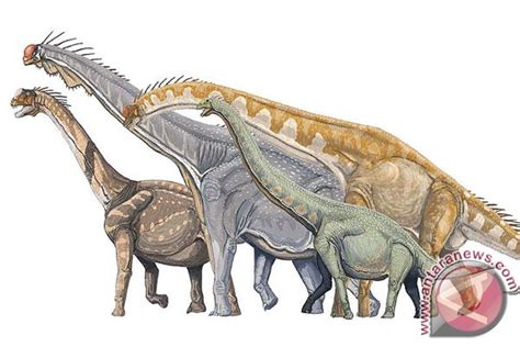 Telah ditemukan Dinosaurus tertua - ANTARA News