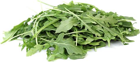 Arugula Information and Facts