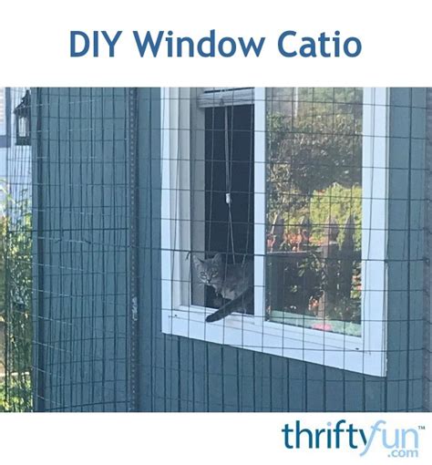 DIY Window Catio | ThriftyFun