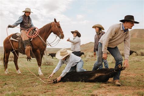 Pitchfork Horse Sale — The Pitchfork Ranch