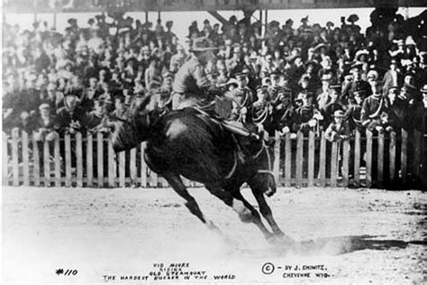 The Five Most Famous Horses in Wyoming History