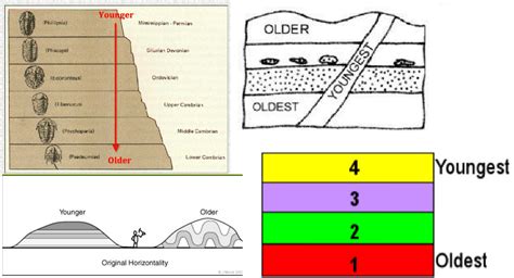 Relative Dating Diagrams – Telegraph